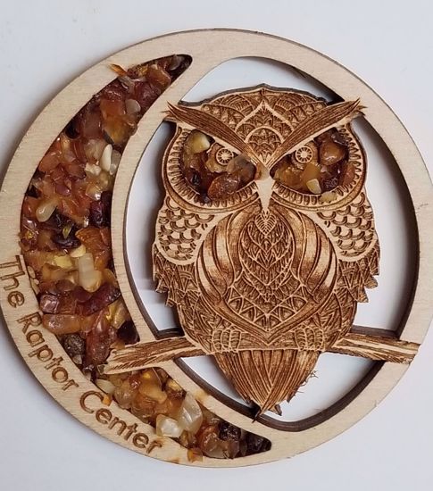 Picture of Amber Owl Magnet